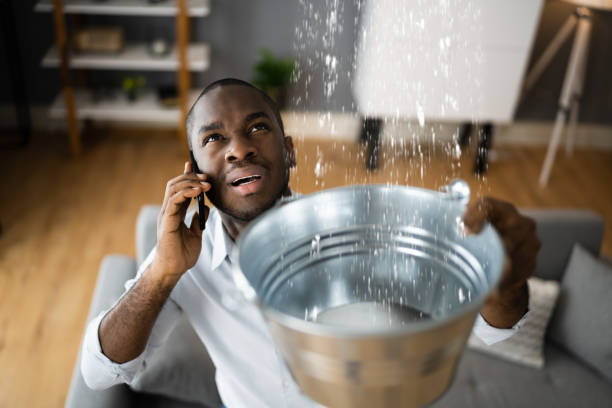 Best Ceiling water damage repair  in Clear Lake, SD