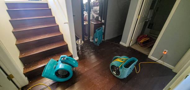 Best Professional water damage repair  in Clear Lake, SD