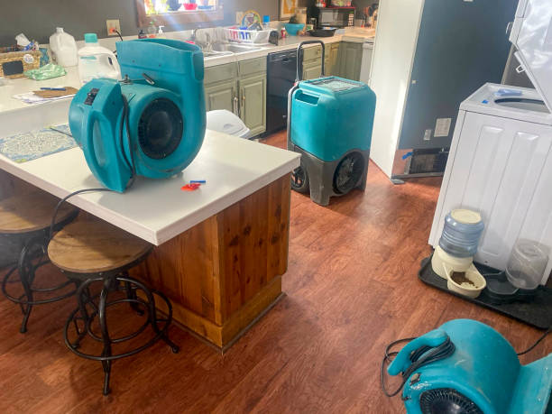 Best Professional water damage repair  in Clear Lake, SD