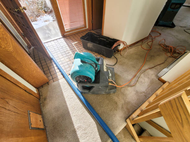 Best Carpet water damage restoration  in Clear Lake, SD