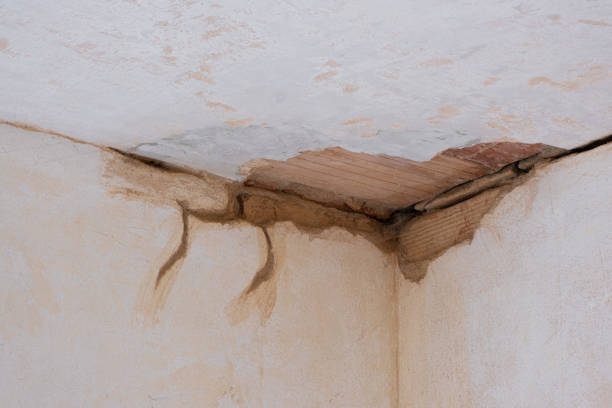 Best Local water damage restoration  in Clear Lake, SD
