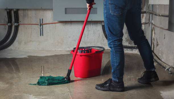 Best Flood damage cleanup  in Clear Lake, SD