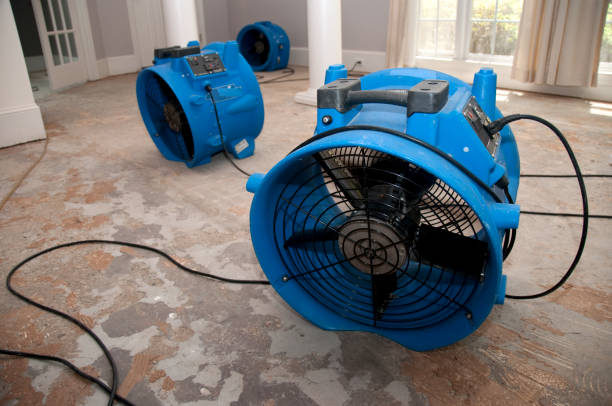Best Water damage contractors near me  in Clear Lake, SD